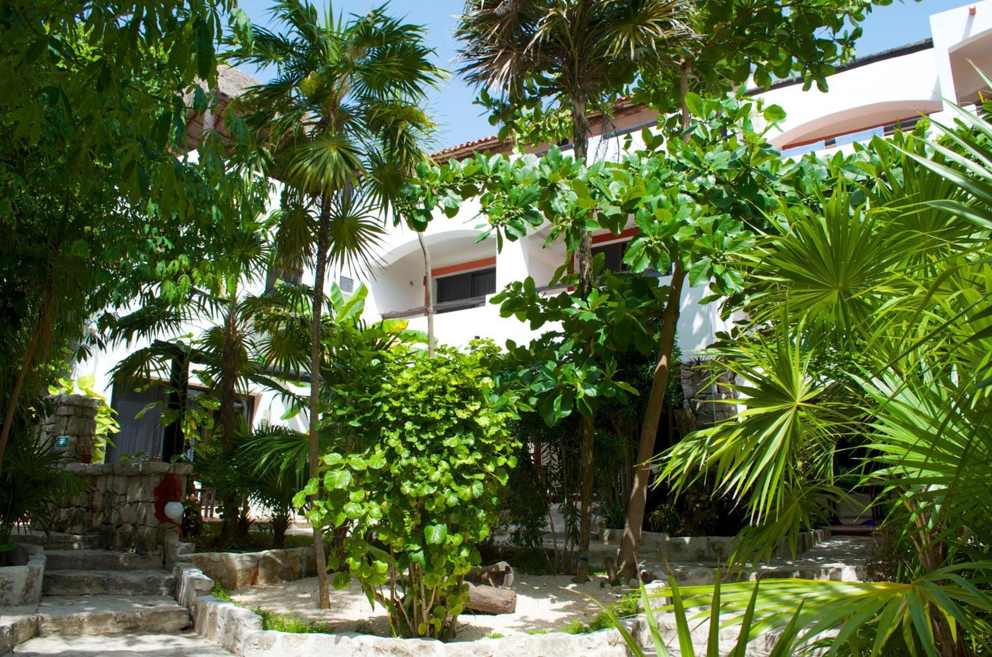 Pelicano Inn Playa Del Carmen - Beachfront Hotel Esterno foto